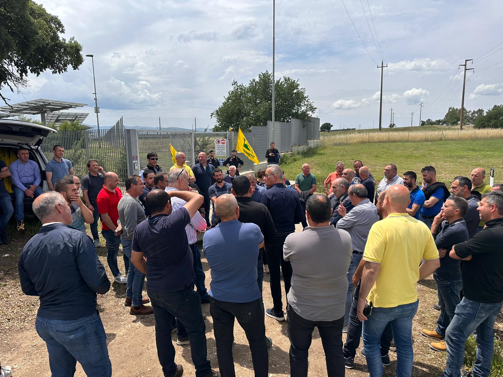 Cavallette, sit in a Noragugume: “Danni in continua crescita, subito arature e ristori”