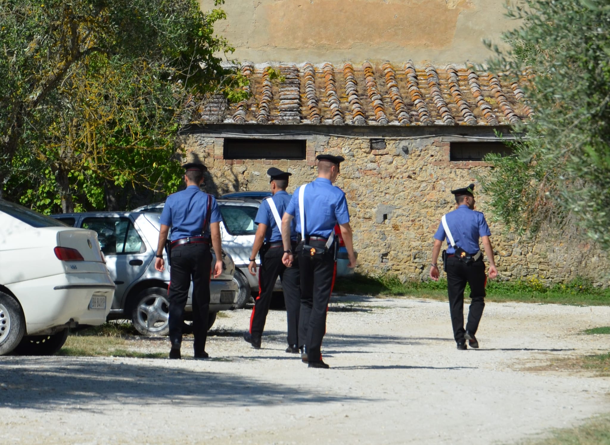 200 quintali di formaggio rubati a Villanovaforru, denunciato un commerciante del nuorese