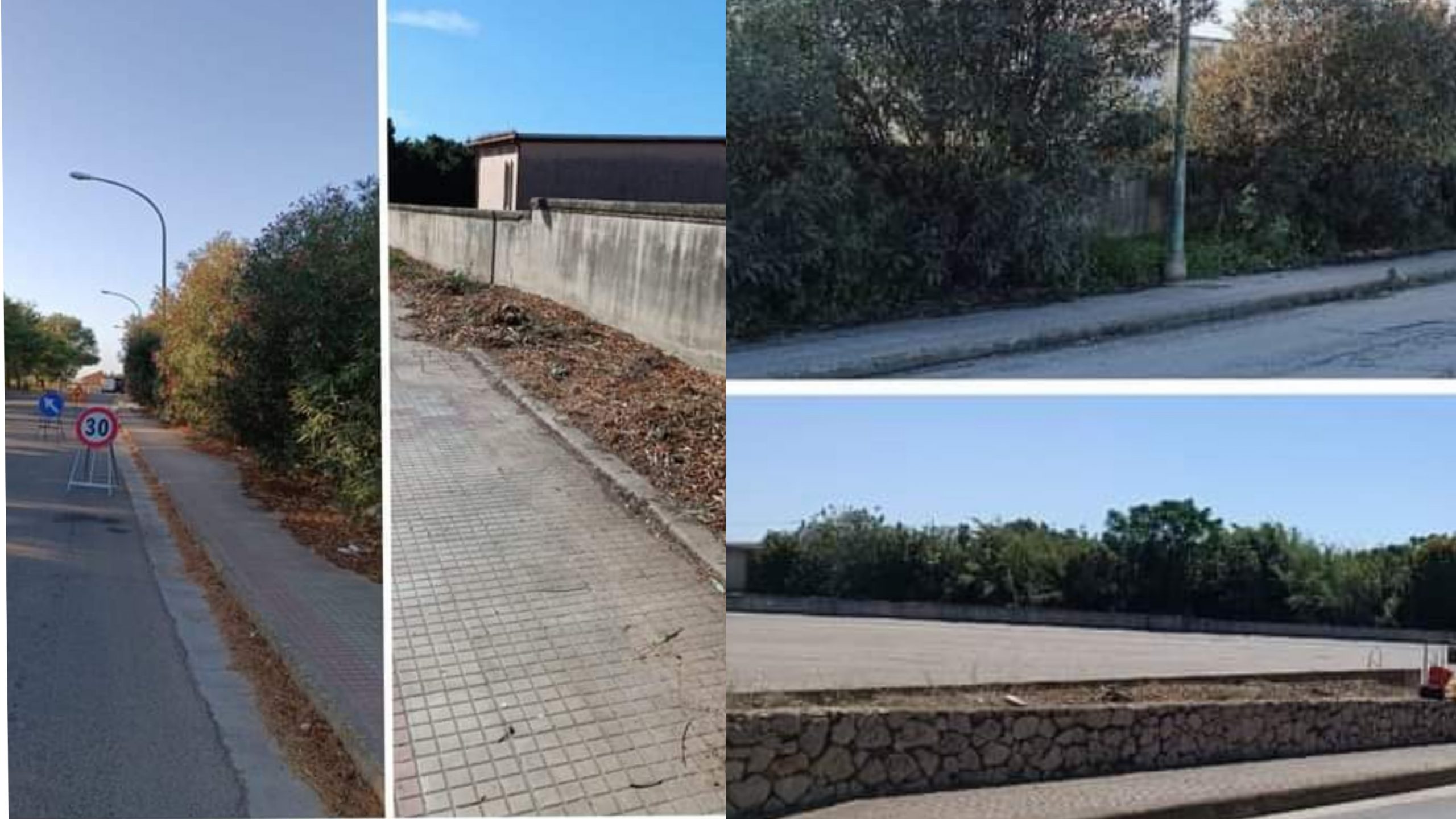 Serramanna, taglio netto agli oleandri del viale Cimitero