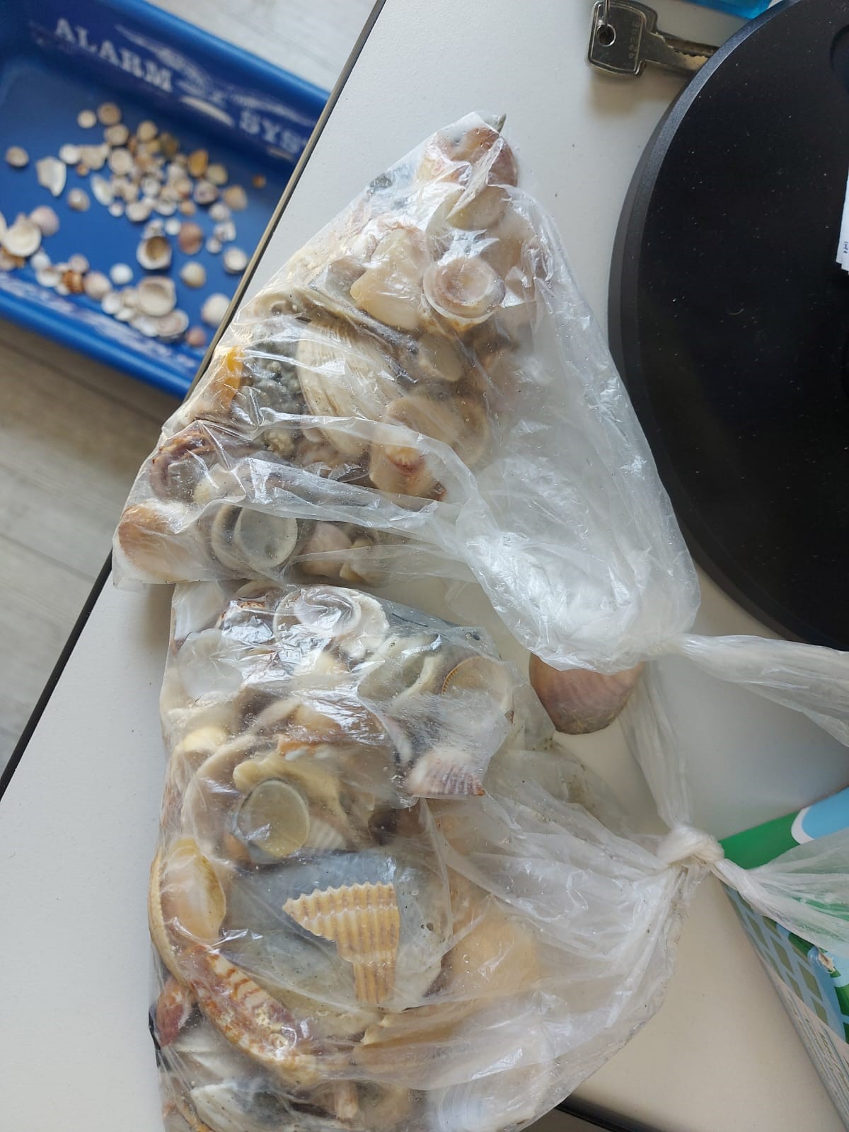 Cagliari, croceristi col gusto della furbizia: rubavano ciottoli e conchiglie, scoperti al porto