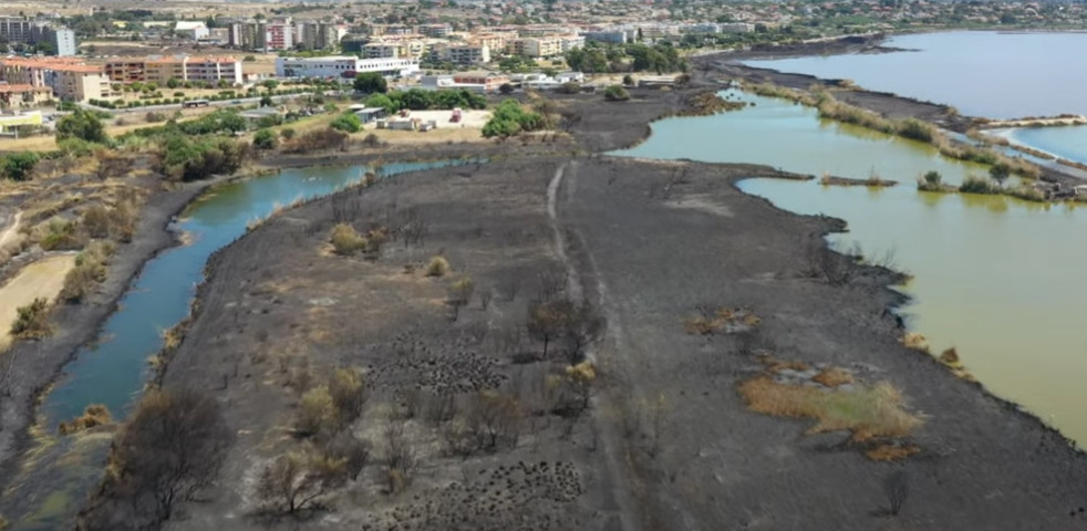 Molentargius e le aziende di via Fiume a Quartu in ginocchio, l’incendio ha distrutto 22 ettari (VIDEO)