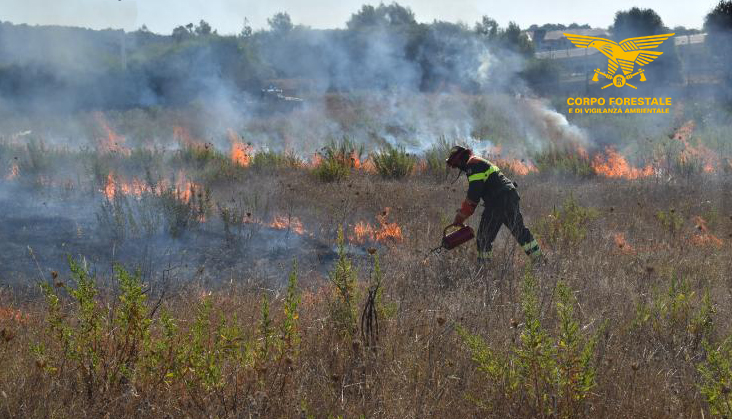 Carbonia, importante operazione della Forestale: ridotte le biomasse con il fuoco prescritto