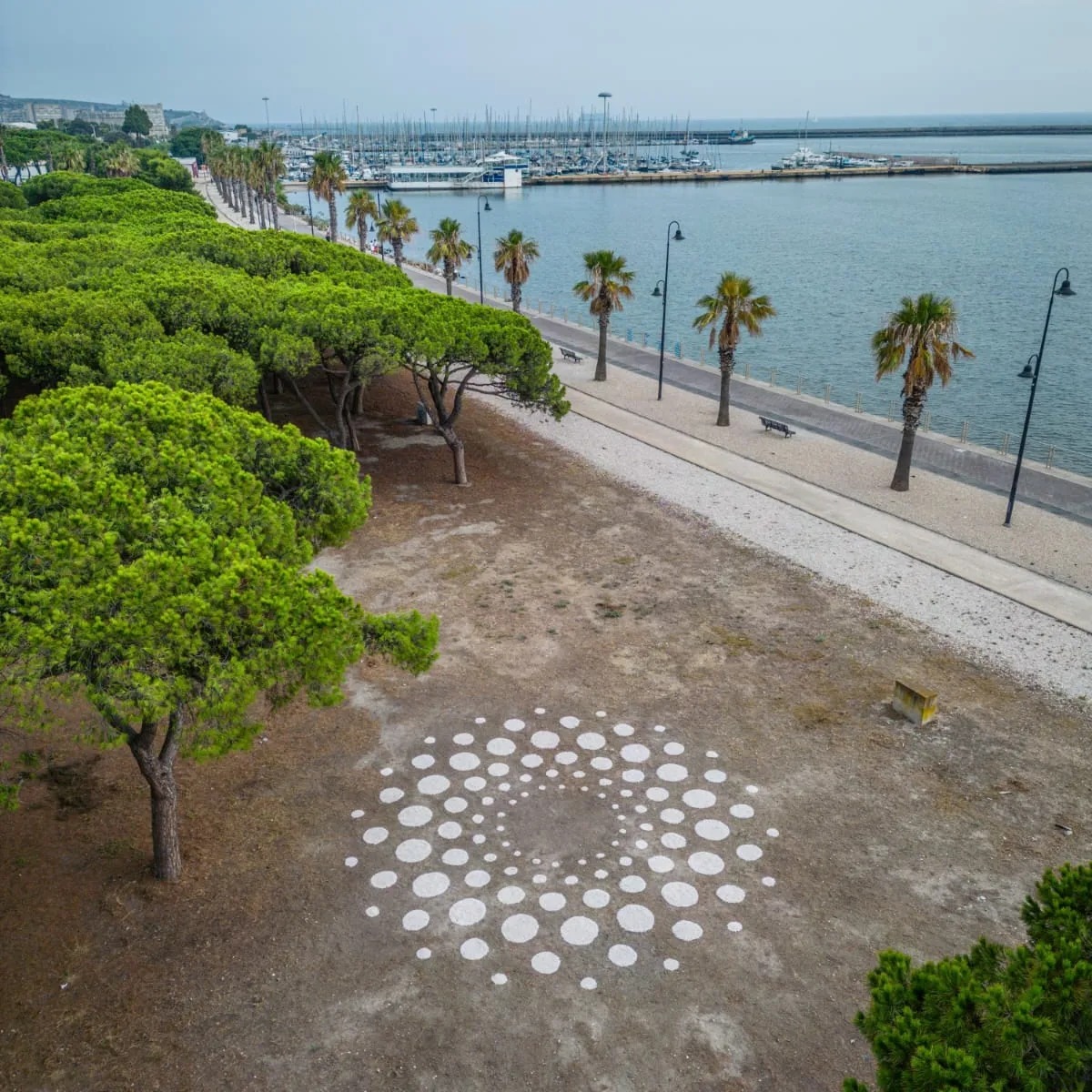 Cagliari, opera d’arte a Su Siccu per salvare i ricci: “Sono a rischio estinzione”