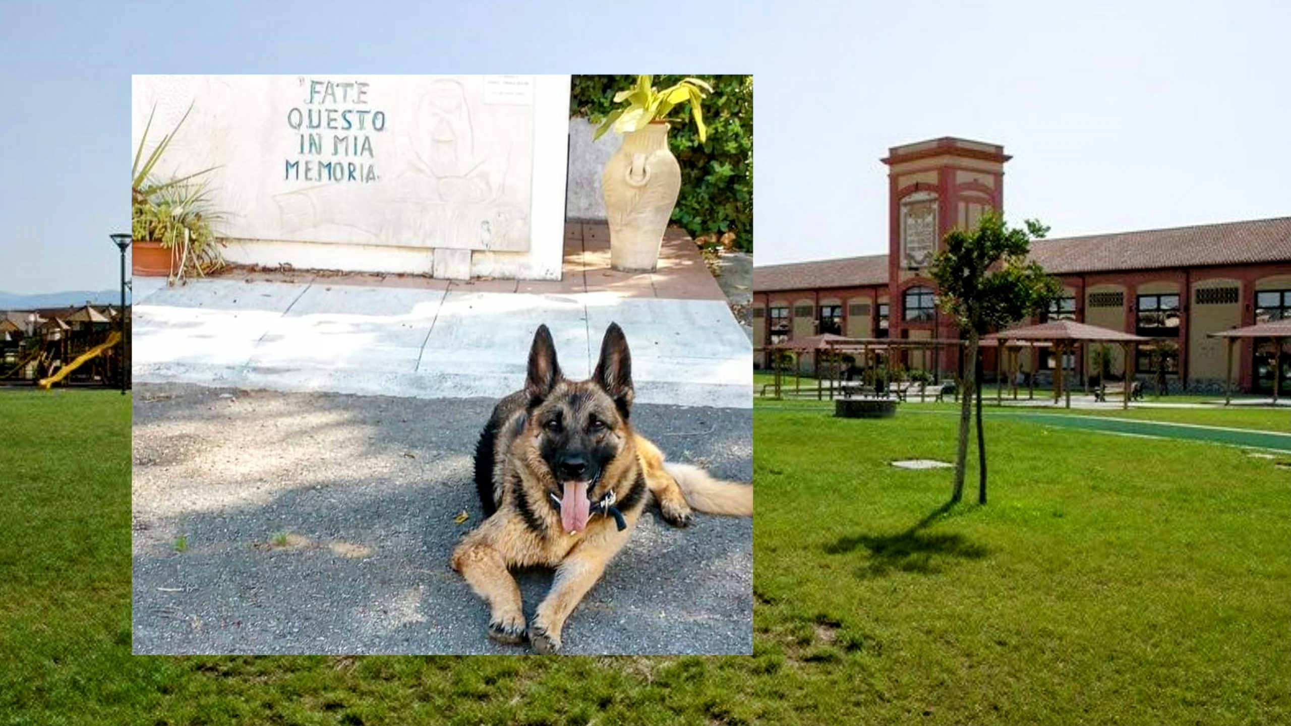 Pirri, un murale nell’area cani presso il parco dell’Ex Vetreria