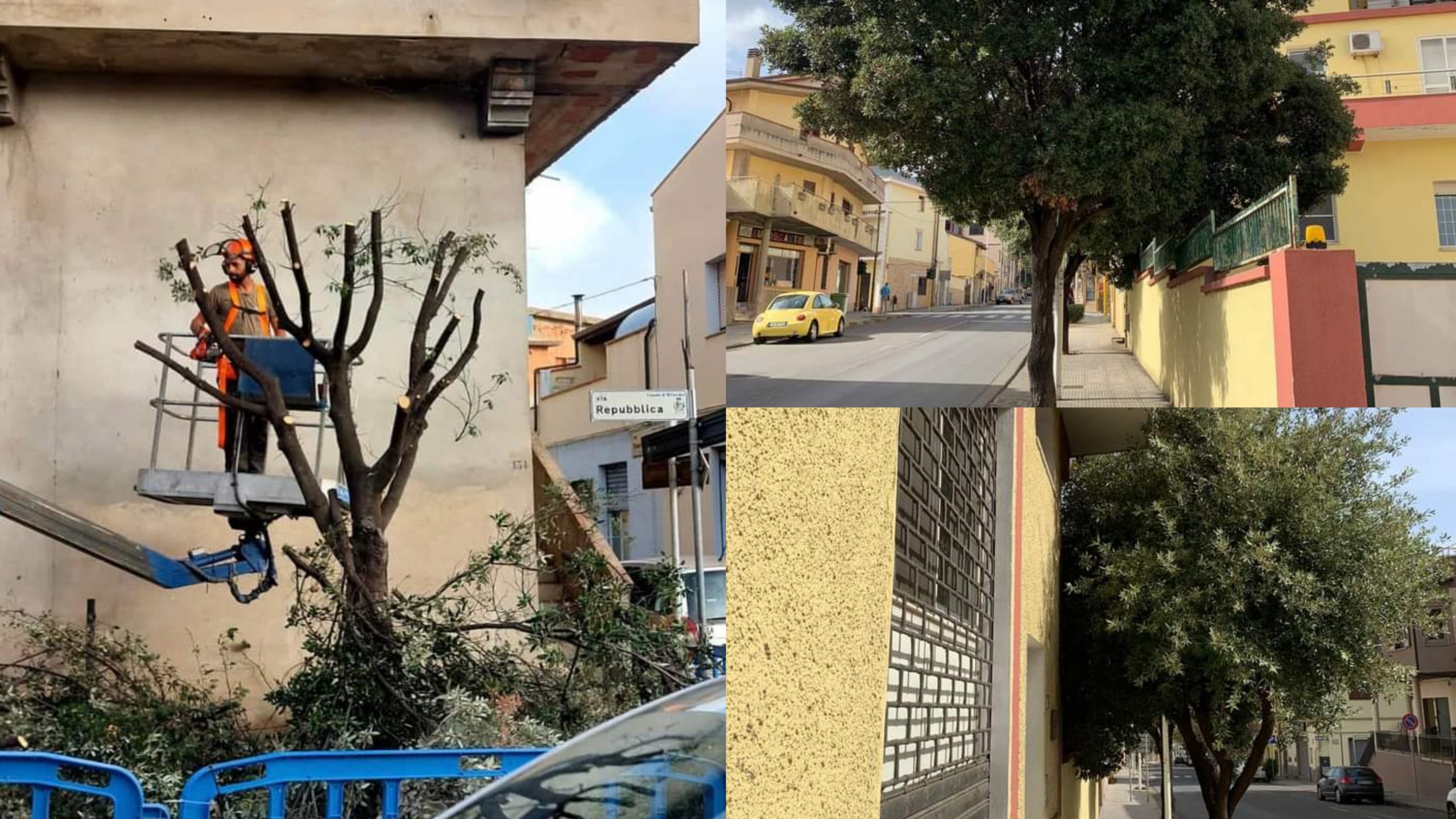 A Villacidro chiome sfoltite agli alberi cittadini: al via i lavori per la potatura