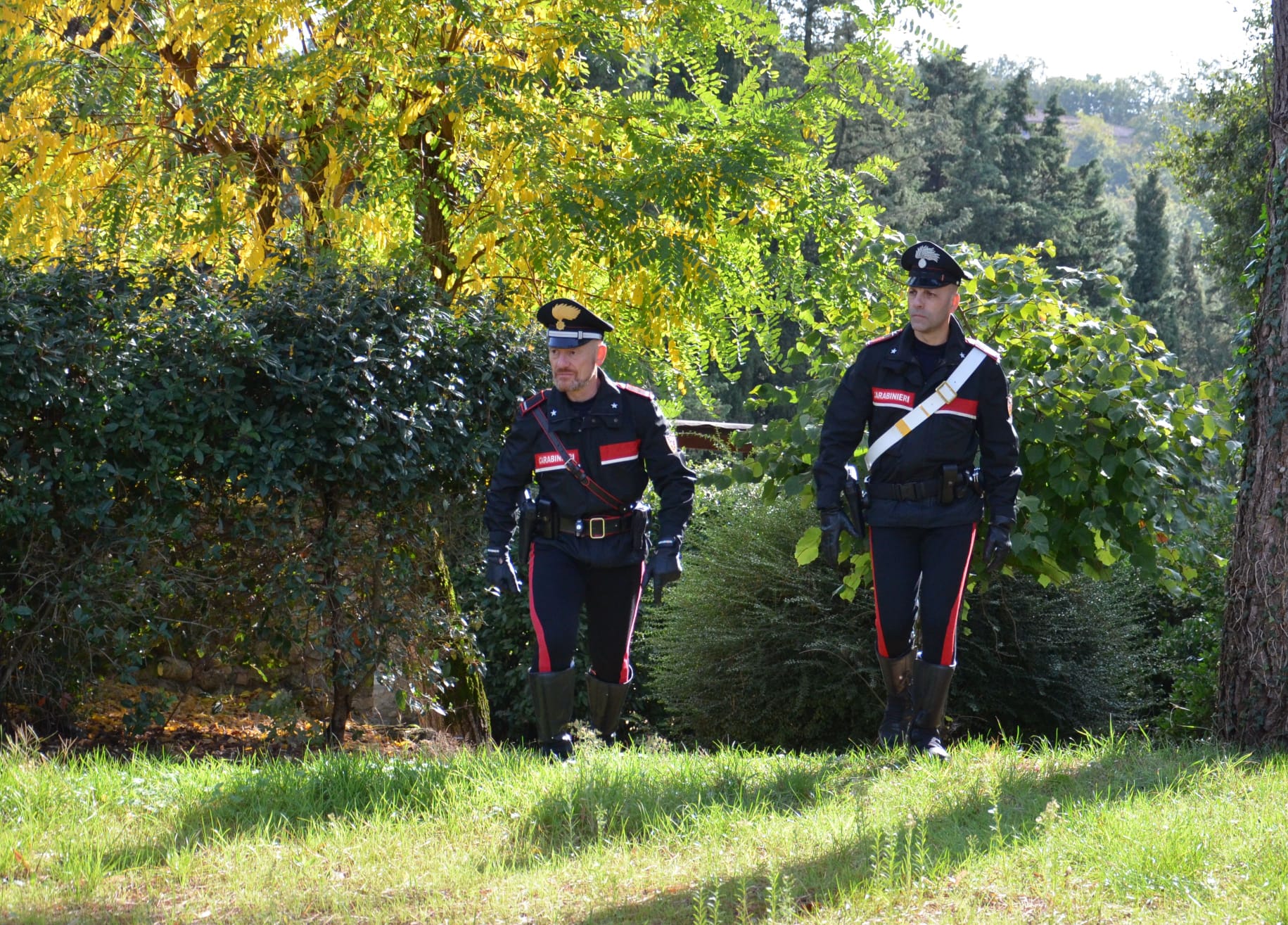 Pimentel, nascosti in un casolare 72 kg di marijuana: arrestato un 36enne