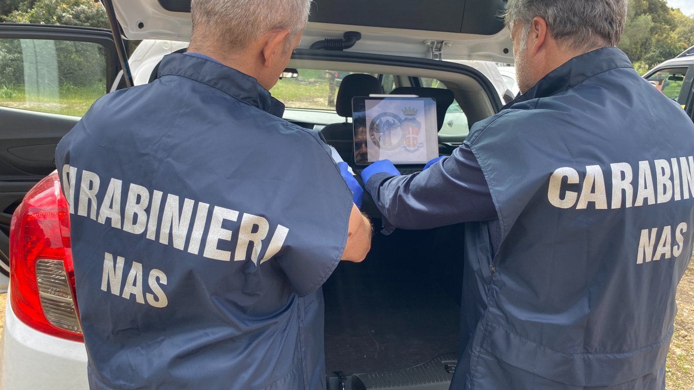 Gamberi, calamari e maialetto senza etichetta accanto alla polvere: 320 chili di cibo sequestrati in un ristorante sardo