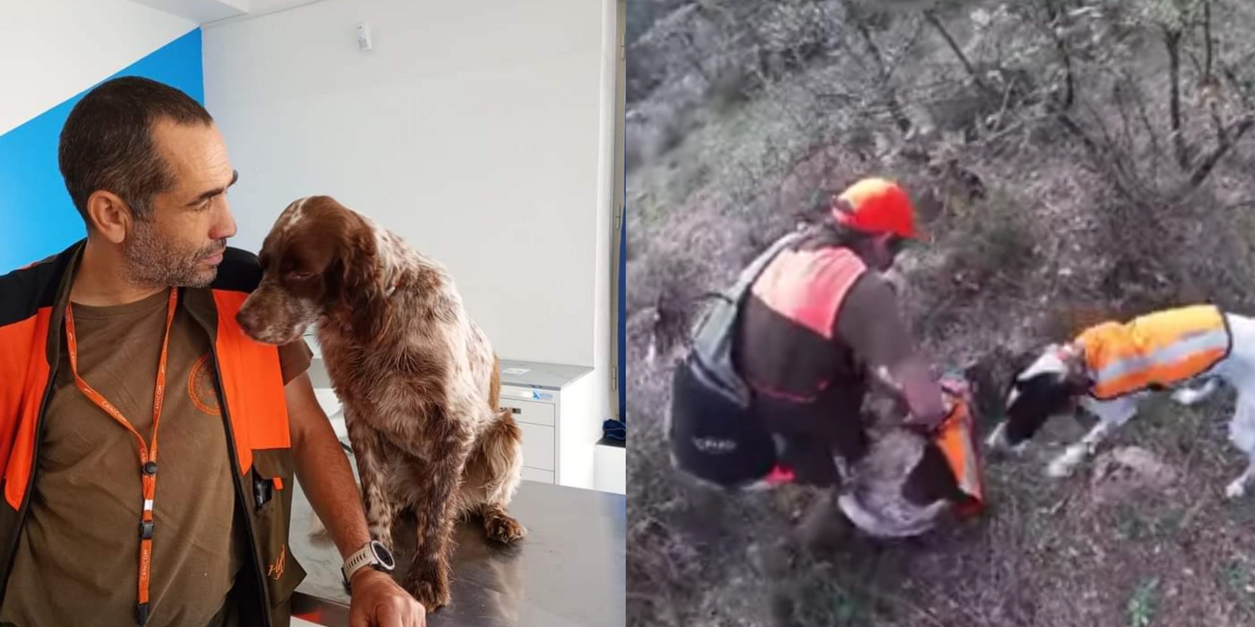 Nuoro, il cane ha un infarto durante la battuta di caccia: Cristian Pinnas lo salva con il massaggio cardiaco