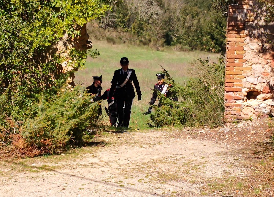 Furto di fieno a Sardara, denunciato un allevatore