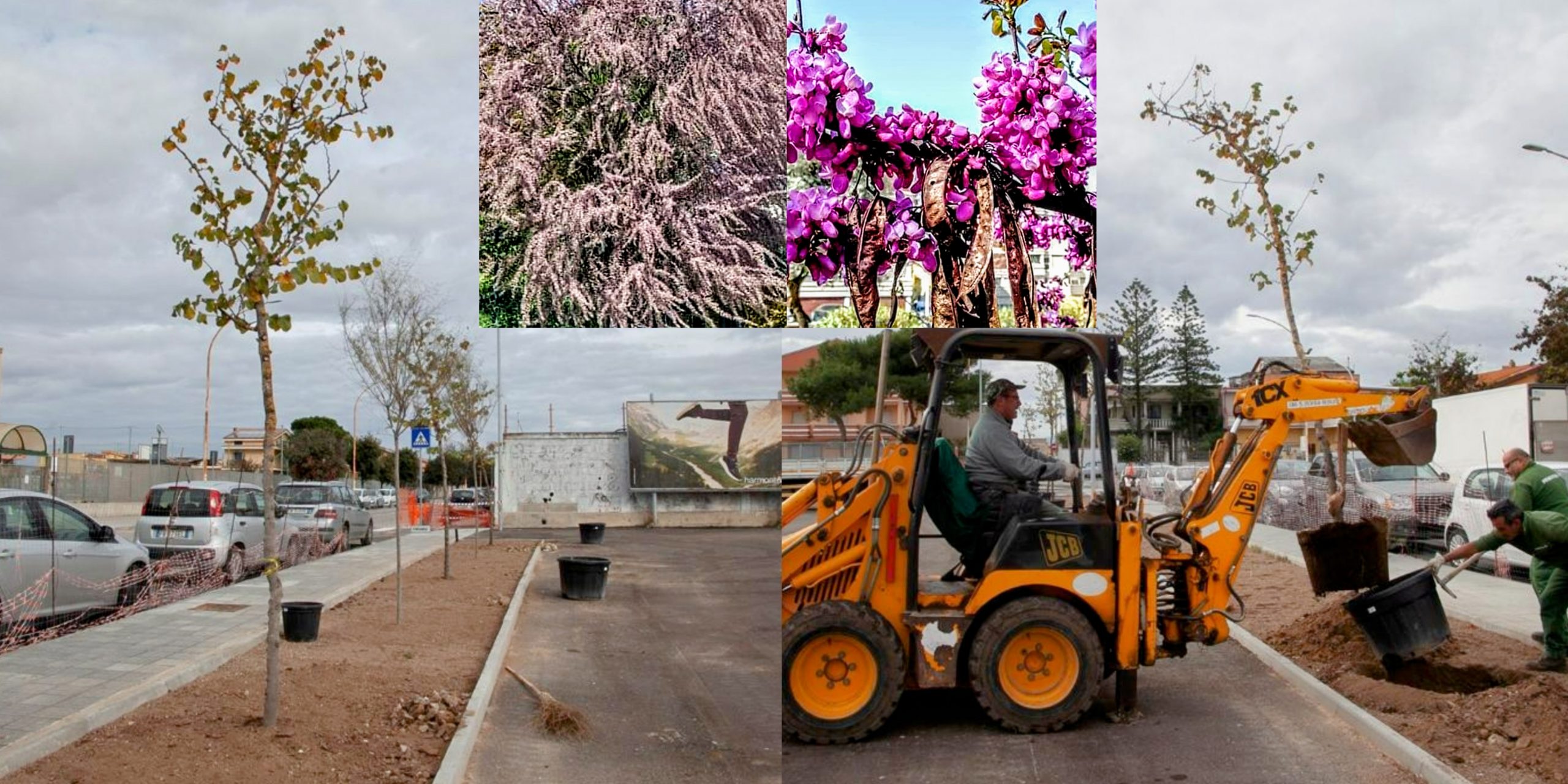 Sestu, al via la messa a dimora delle piante scelte dai cittadini