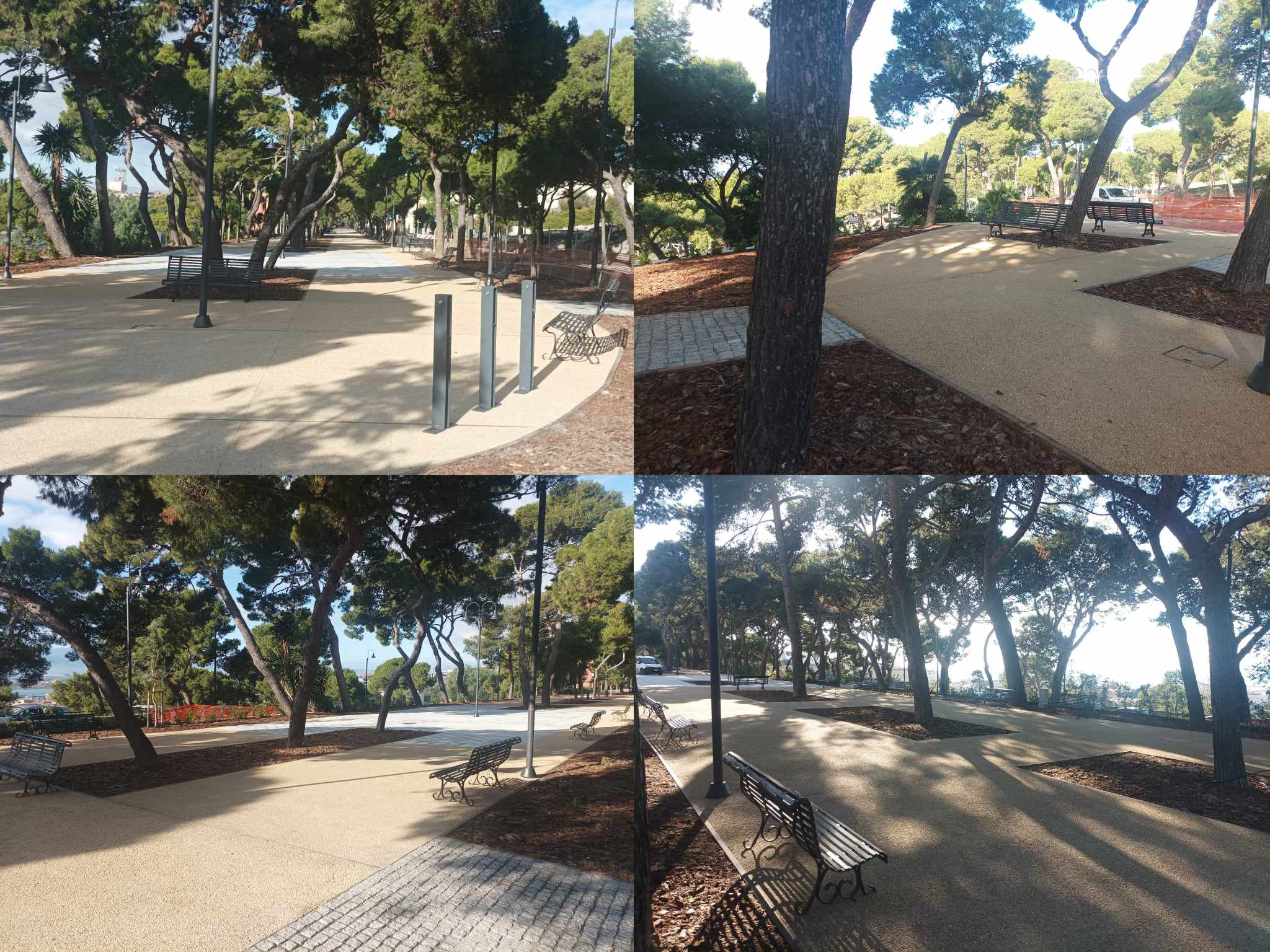 Cagliari, ecco il nuovo viale Buoncammino senza radici pericolose e chioschi: 400 metri con panchine e fontanelle