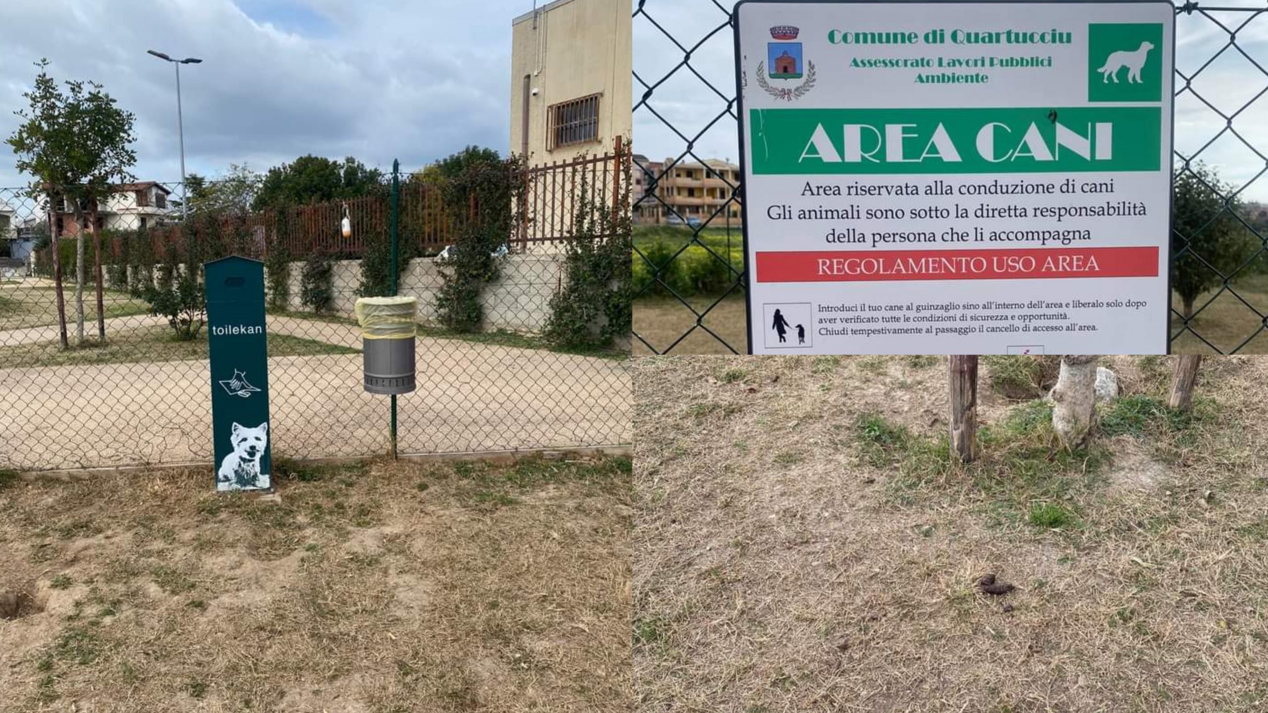 Quartucciu, polpette avvelenate per risolvere il problema delle deiezioni canine