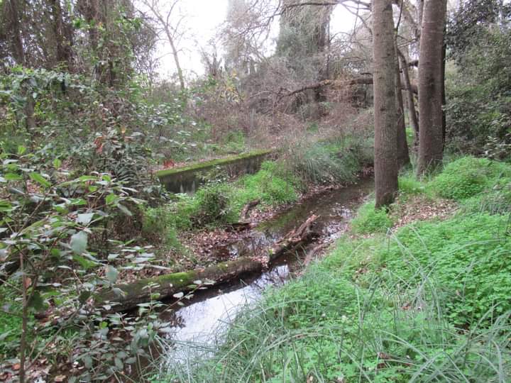 San Sperate, un tavolo tecnico per la salvaguardia del parco urbano Pixinortu