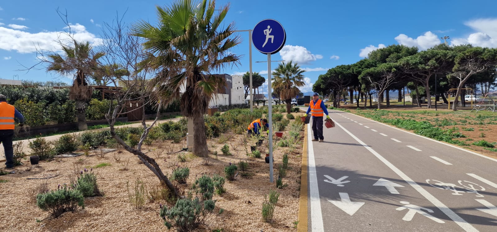 Quartu, il primo spicchio del nuovo Poetto è realtà: pineta e promenade aperte per l’estate