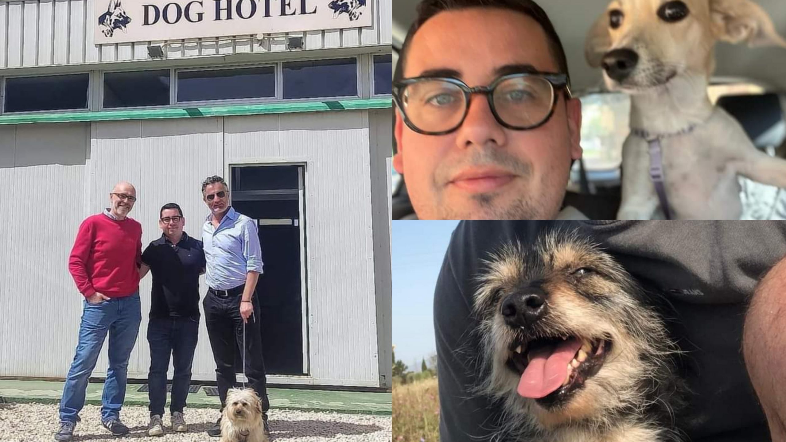 Assemini: Luna, Tomino, Chicco e Schenzen testimonial per la campagna di adozioni
