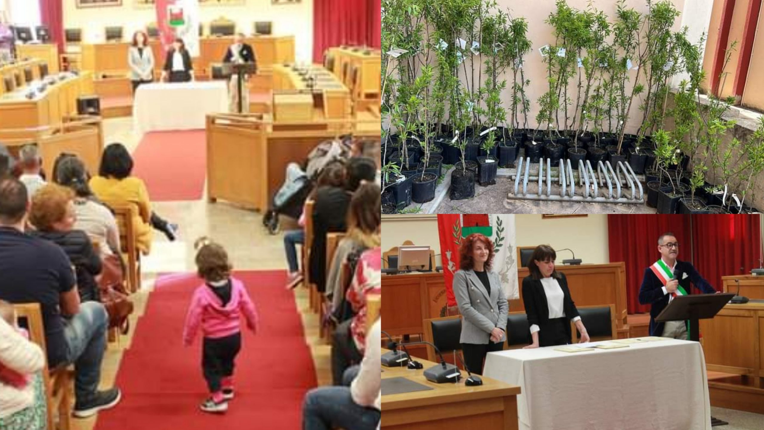 A Capoterra 99 alberi, uno per ogni bimbo nato nel 2023, faranno parte del nuovo parco dei Mandorli in via Trexenta