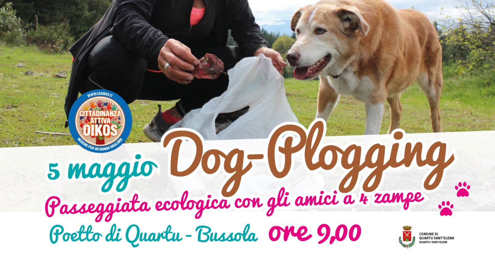 Quartu, tre appuntamenti da non perdere per chi ama gli amici a quattro zampe