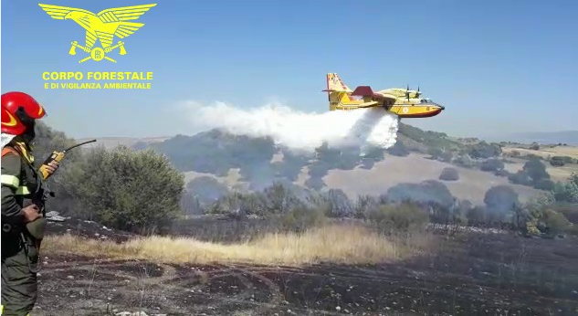 Delitti di incendio, sono già 7 le persone segnalate dal Corpo Forestale all’Autorità giudiziaria