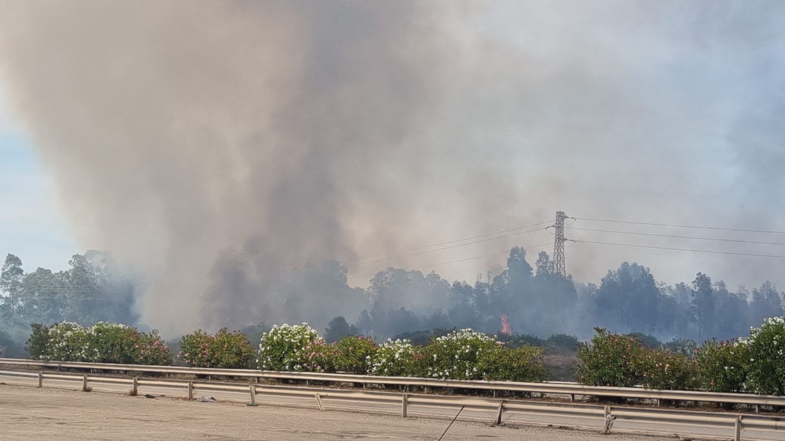 Vasto incendio nelle campagne tra Macchiareddu e Uta, fiamme e fumo vicino a strade e auto