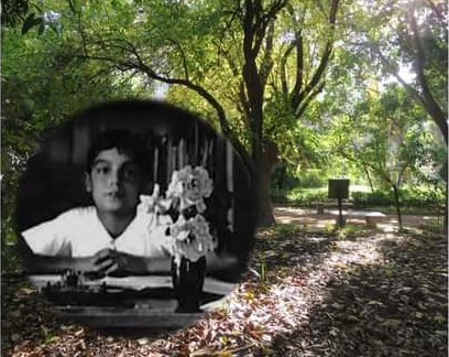 Cagliari, artisti e allievi dell’accademia delle Belle Arti dipingeranno all’Orto Botanico