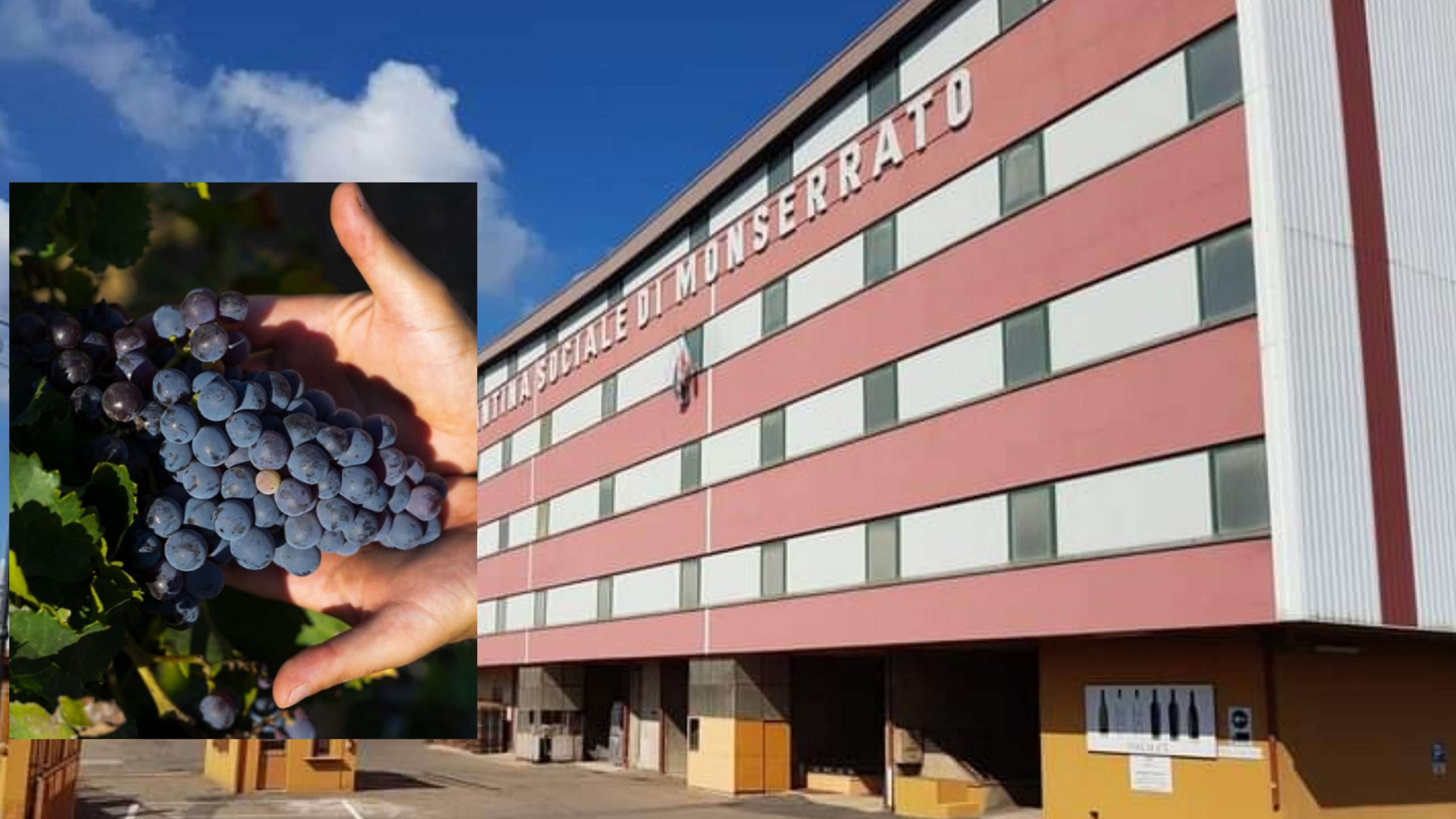 Monserrato, grande festa per i 100 anni della cantina sociale