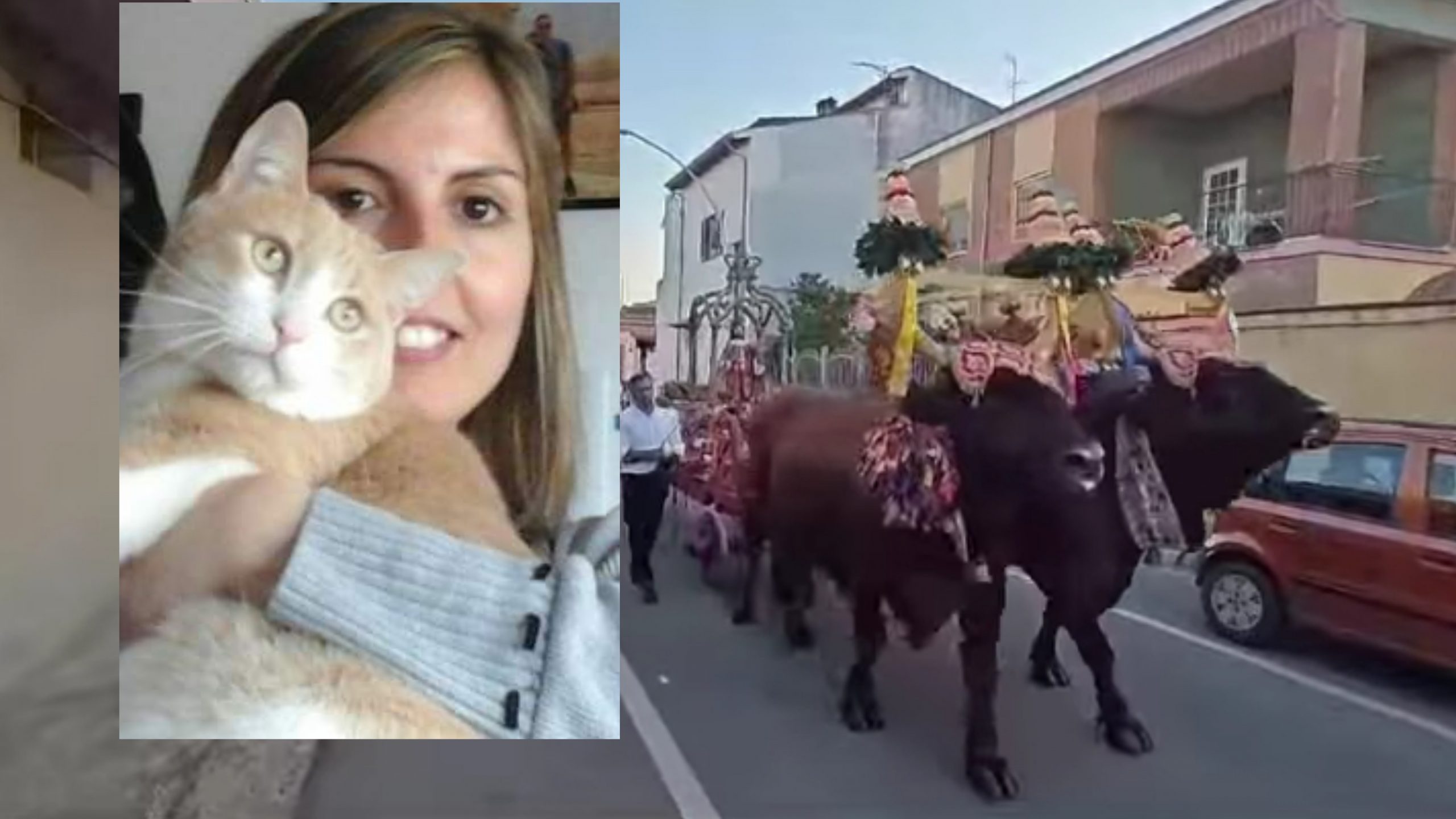 San Sperate in lutto, festa del Patrono in tono minore per rispetto verso Francesca