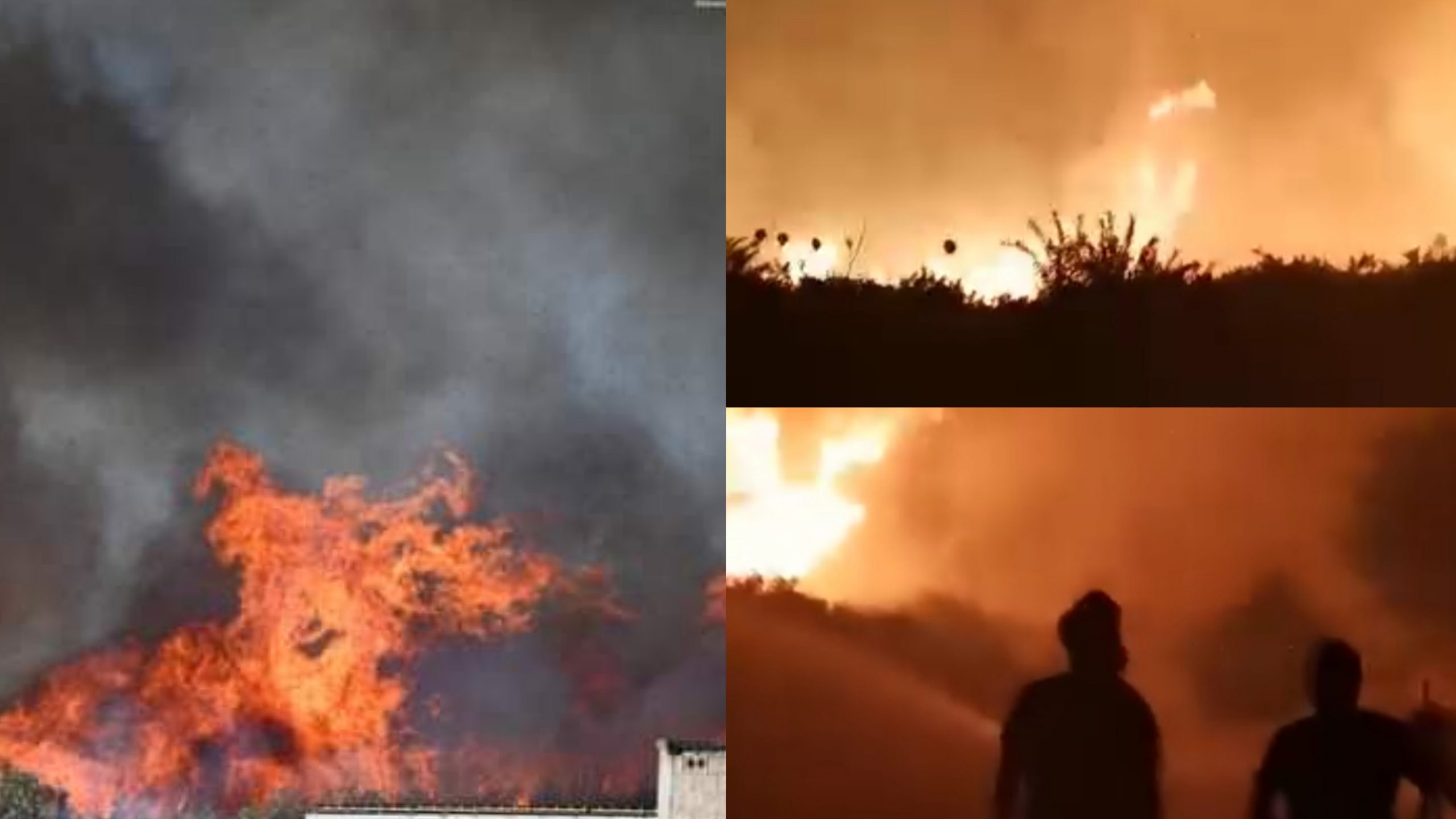 Oggi si celebra la Giornata regionale in memoria delle vittime degli incendi