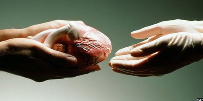 Cagliari, dona gli organi e salva quattro vite: la favola al Santissima Trinità