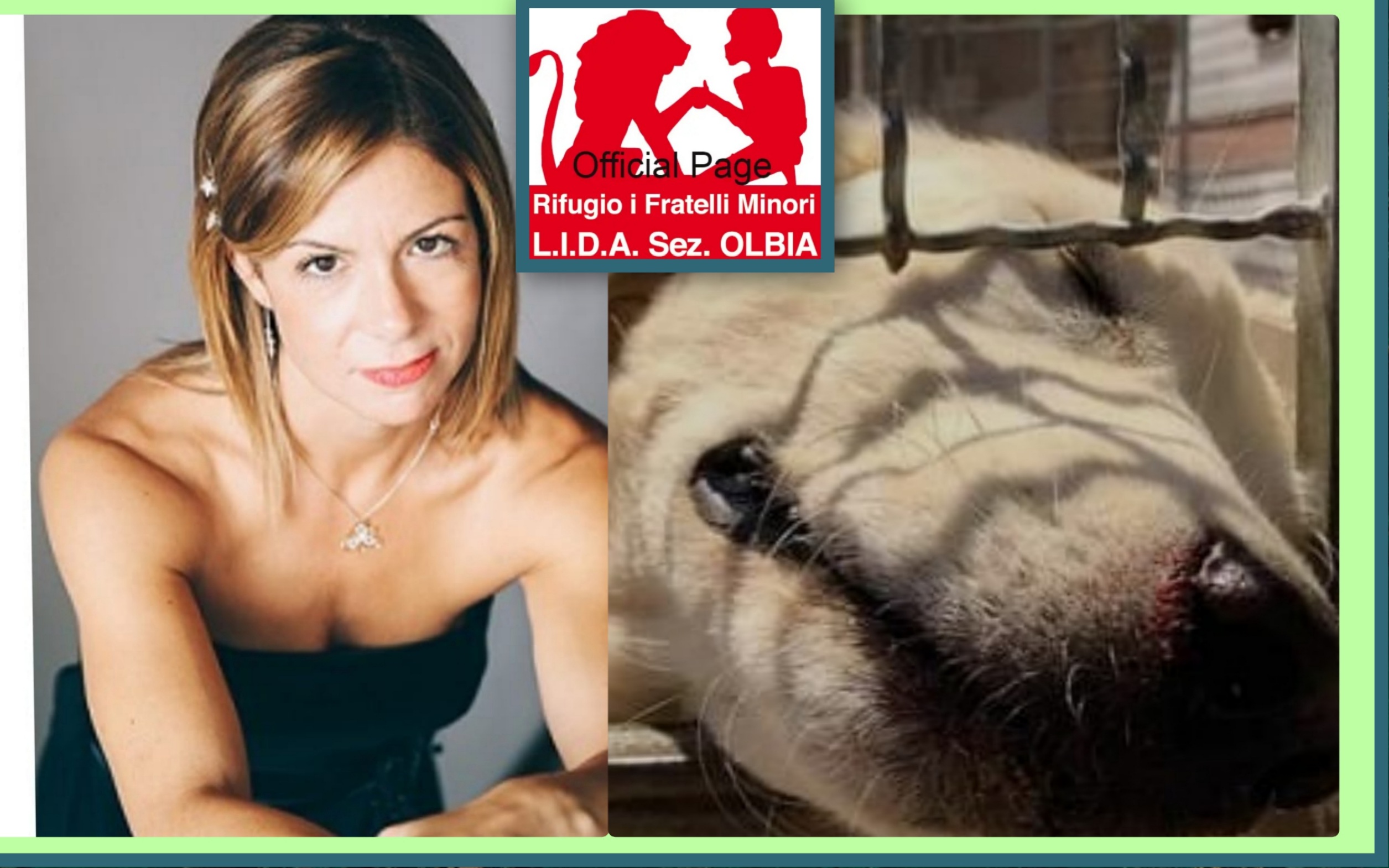Radio Zampetta Sarda: “La scrittrice Stefania Sanna in aiuto alla Lida di Olbia”