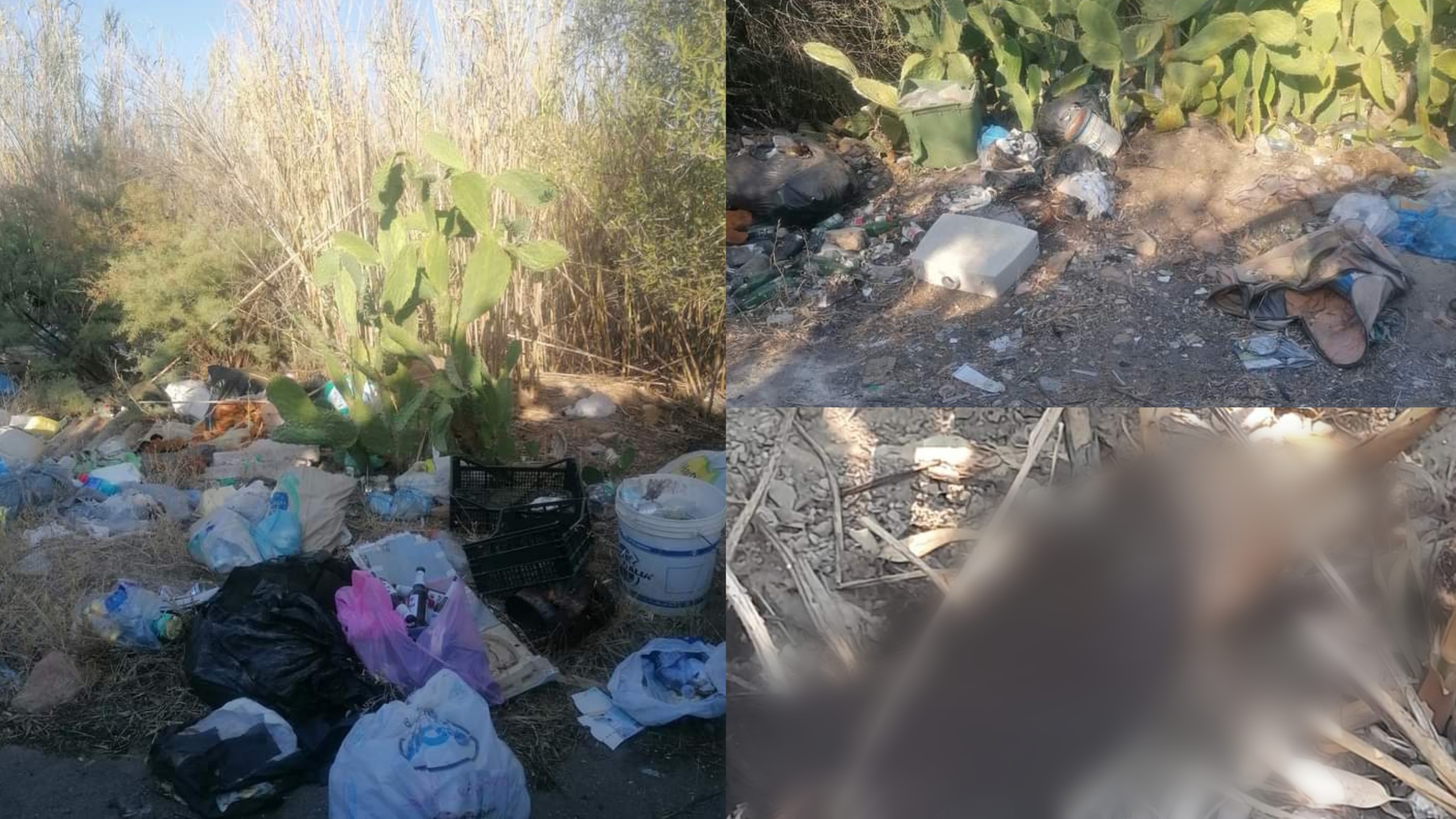 A Quartucciu l’ombra della macellazione clandestina