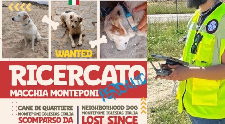 Ricerche ancora in corso per la guida a 4 zampe del Cammino di Santa Barbara