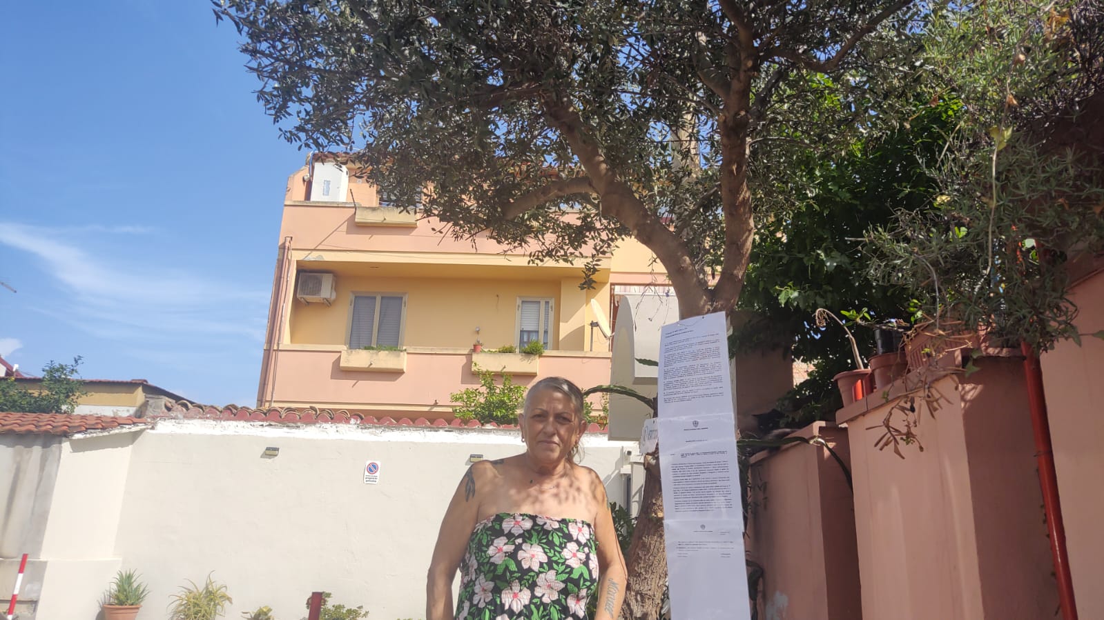 Selargius, l’ulivo in memoria della prima moglie del marito rischia l’abbattimento: “Dopo il mio sos rimarrà in piedi”