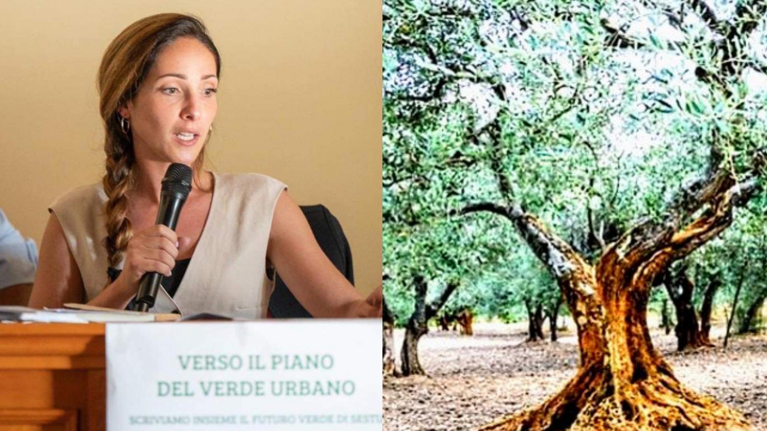 A Sestu la Giornata Nazionale degli Alberi 2024