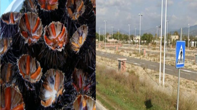 Ricci da gustare in riva al mare al Poetto e a Flumini: a Quartu un mercato per servire oltre 20 mila abitanti