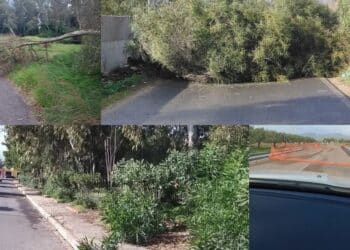 Alberi crollati e strade ostruite, in Sardegna si contano i danni dovuti al maltempo