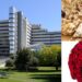 Cagliari, il torrone di Tonara ai piccoli della pediatria del Brotzu