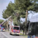 Cade un albero tra Decimomannu e Assemini: viabilità chiusa momentaneamente al traffico