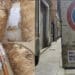A Cagliari disagi nel giorno di Natale, lo sfogo di centinaia di famiglie senza acqua: “Siamo esasperati”