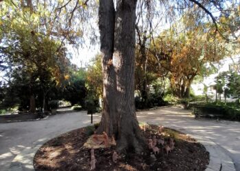 Cagliari, all’Orto botanico il presepe della tradizione asseminese