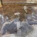Cagliari, il quartiere del sole invaso dai liquami: “Abbanoa che fine ha fatto?”