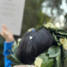 Coroncine per la laurea, ecco la storia dalle origini a oggi