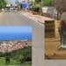 “Sdraiarsi in mezzo alla strada e alzarsi all’ultimo momento”, lo stupido gioco a Sennori