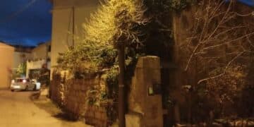 Gonnosfanadiga, cane a passeggio con la padrona prende la scossa in un palo