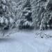 Allerta meteo in Sardegna, attesa tanta neve: verso il tutto esaurito nei paesi di montagna