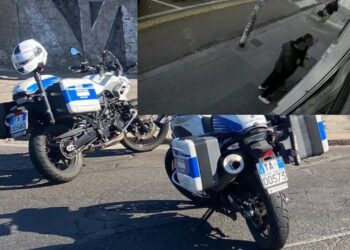 Cagliari, derubata mentre scarica oggetti dall’auto: denunciato un 31enne