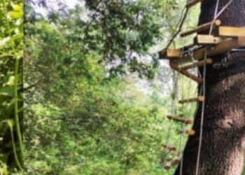 Pula, un mega parco avventura in località “La Pineta”