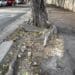 Viale Merello, la fama di una delle strade più celebri di Cagliari ora è solo un ricordo: slalom nella via distrutta (VIDEO)