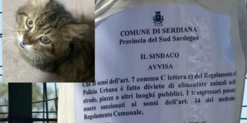 Serdiana, il divieto di somministrare il cibo agli animali in strada diventa un caso social