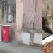 Serdiana, diventa un caso nazionale il divieto di dare cibo ai gatti randagi: “Nessuna norma può vietare di nutrire gli animali”