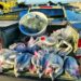 Cagliari, sequestrati 100 metri di rete illegale e 120 kg di muggini a Terramaini